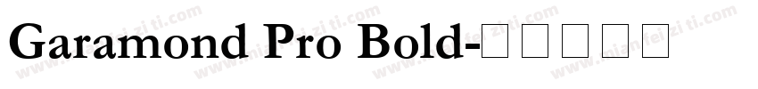 Garamond Pro Bold字体转换